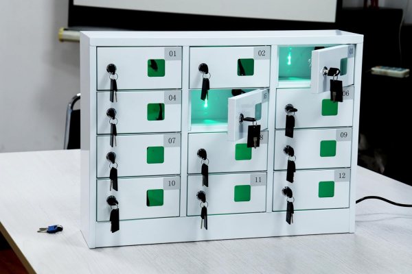 Secure Phone Locker