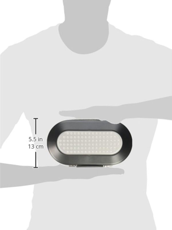 portable lock box