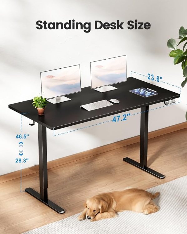 Adjustable standing desk with dual monitors, keyboard, and plant, showcasing ergonomic design and st.