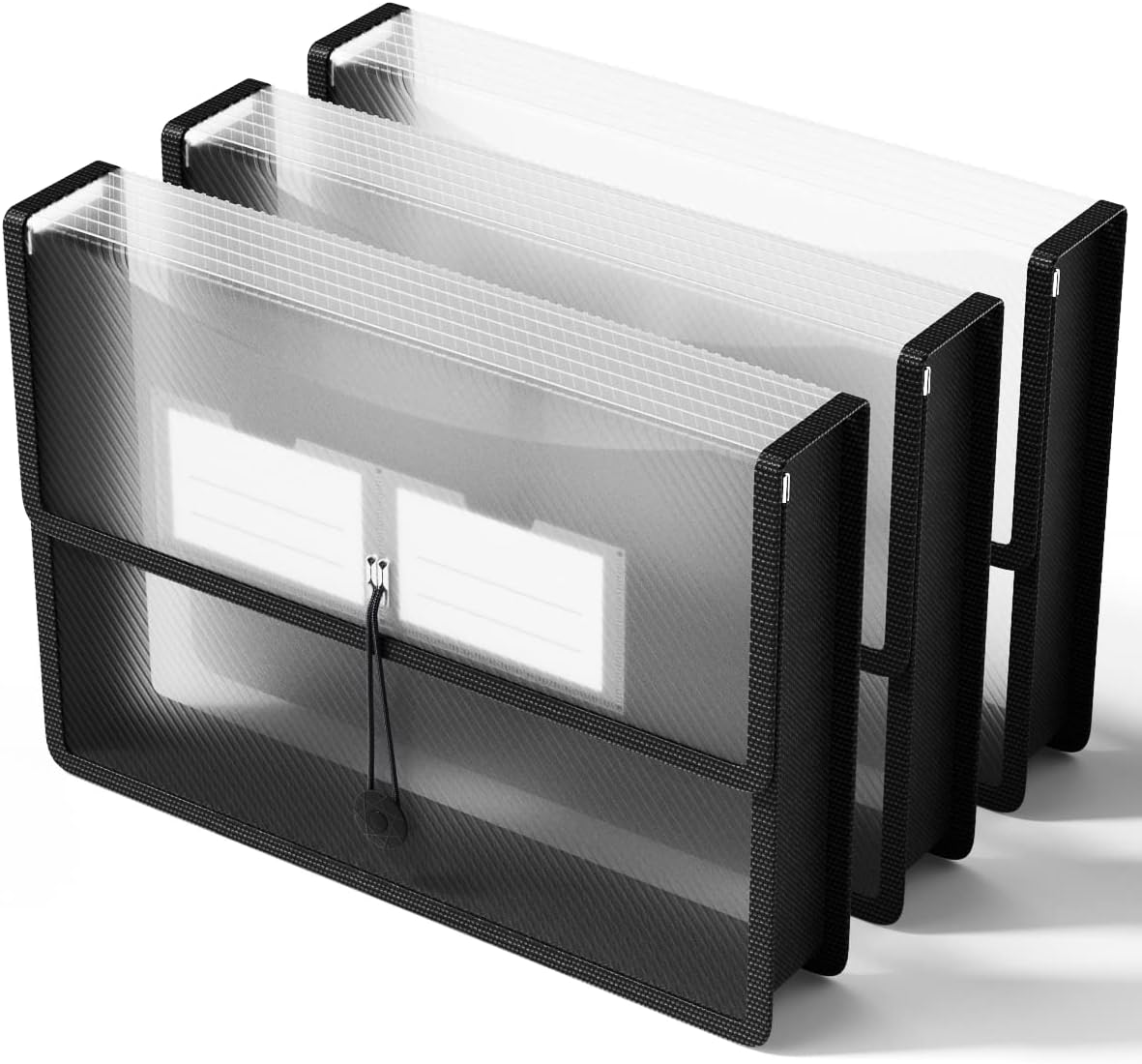 Plastic Expanding File Folder – Transparent File Folder for Document Storage, Large Capacity, Durable with Elastic Closure