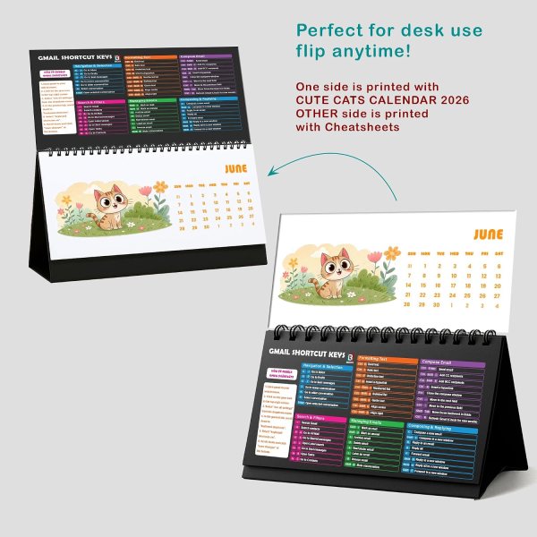 Funny Cat Desk Calendar