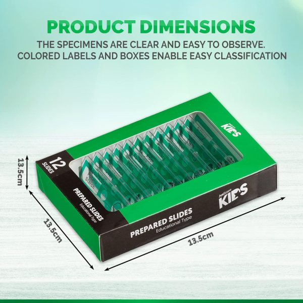Prepared Microscope Slides for Kids