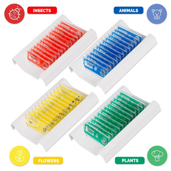 Prepared Microscope Slides for Kids