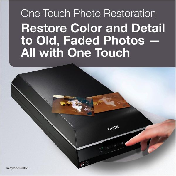 epson v600