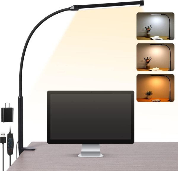 Desk Clamp Lamp