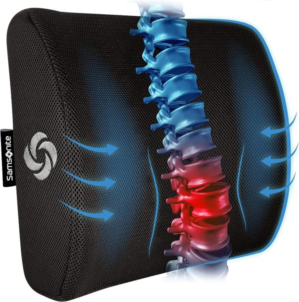 Lumbar Support Pillow